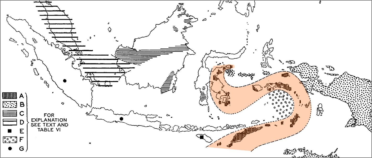 Tectonostratigraphic provinces in Indonesia, as understood by Umbgrove (1938), identifying areas of similar Late Paleozoic- Eocene tectonostratigraphy.